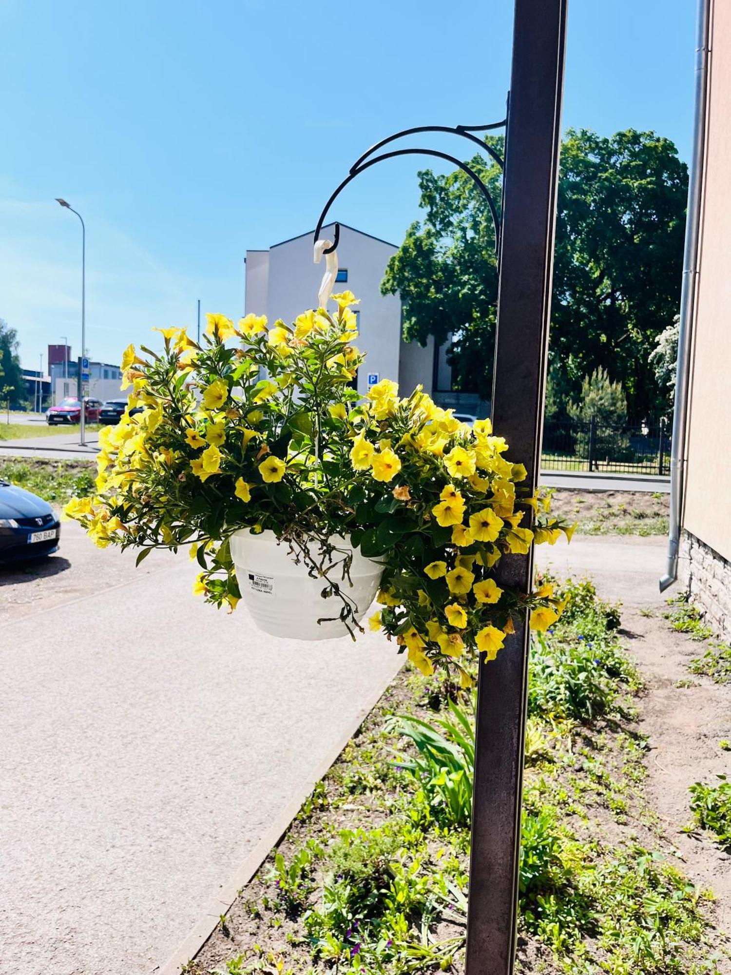 Tallinnhousing Studio For 4 With Free Parking Esterno foto